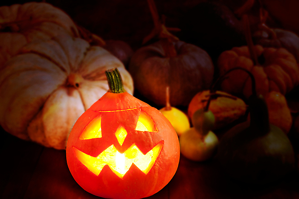 JPG 해외이미지 호박 사람없음 빛 어둠 할로윈 오브젝트 잭오랜턴 해외202004 해외포토 포토 채소 파일형식 이미지허브