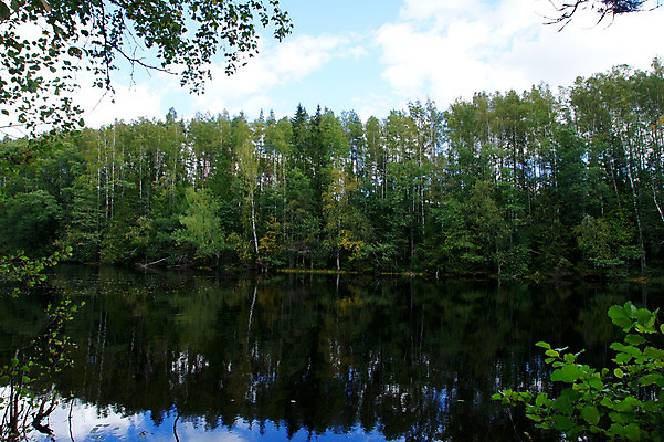 포토 JPG 해외이미지 나무 구름 호수 잎 밭 부분 자연 하늘 풍경 사람없음 야외 초록색 물 여름 파란색 반사 환경 침묵 성장 시골 연못 신선 숲 강의 솜털 줄서기 해외202004 해외포토 자연요소 식물 계절 컬러 농업 모션 소리 생태계 파일형식 이미지허브