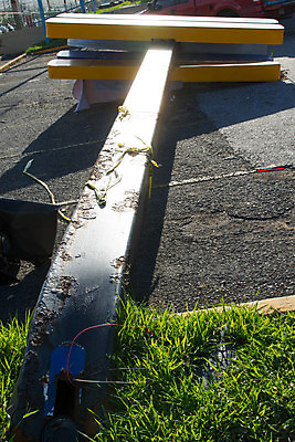 포토 JPG 해외이미지 나무 사람없음 손상 길가 해외202004 해외포토 식물 컨셉 파일형식 이미지허브