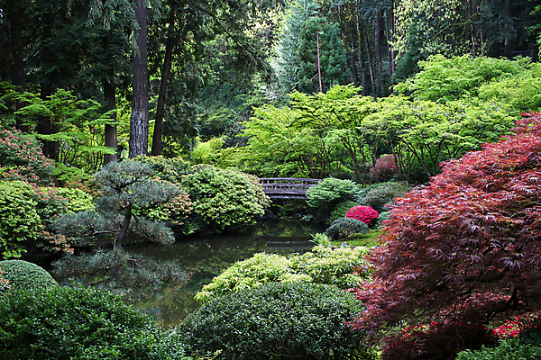 포토 JPG 해외이미지 나무 전통 디자인 공원 호수 선 백그라운드 잎 건축양식 자연 동양인 풍경 사람없음 야외 목재 물 반사 평화 정원 일본 침묵 고요 연못 숲 명상 아치 질감 복고 동쪽 내추럴 양발 해외202004 해외포토 자연요소 식물 공공시설 건축 아시아 컨셉 재료 인종 소리 방향 생태계 파일형식 이미지허브