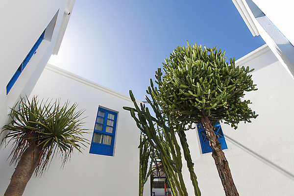 포토 JPG 해외이미지 창문 휴가 선인장 아파트 주택 사람없음 파란색 관광지 정원 흰색 그리기 스페인 심플 열대기후 카피스페이스 해외202004 해외포토 식물 유럽 컬러 여행 모션 건물 공백 파일형식 이미지허브