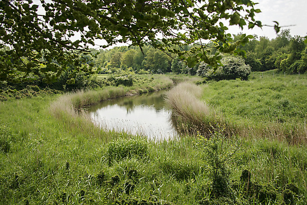 포토 JPG 해외이미지 나무 구름 호수 잎 자연 하늘 풍경 사람없음 초록색 물 숲 작음 네덜란드 해외202004 해외포토 자연요소 식물 유럽 컬러 크기 생태계 파일형식 이미지허브