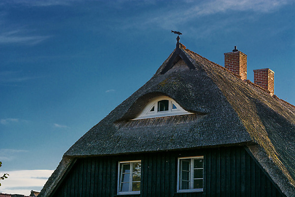 포토 JPG 해외이미지 꽃 섬 여행 건축양식 창문 자연 하늘 지붕 날씨 휴가 주택 갈대 풍경 사람없음 건물 초록색 여름 태양 정원 시골 재산 보호 오두막 관목 묘사 북쪽 밀짚 라일락 고립 대칭 볏집 해외202004 해외포토 자연요소 나무 식물 건축물 계절 건축 컬러 컨셉 금융 짚 방향 생태계 파일형식 이미지허브