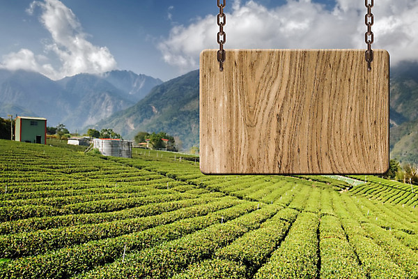 포토 JPG 해외이미지 식물 구름 배너 백그라운드 컨셉 밭 자연 하늘 풍경 사람없음 야외 목재 농장 우주 마을 고요 공백 시골 메시지 차 널 땅 사인 천국 내추럴 해외202004 해외포토 자연요소 나무 음료 농업 재료 생태계 파일형식 이미지허브