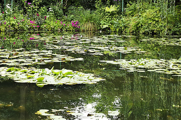 포토 JPG 해외이미지 식물 계절 공원 꽃잎 꽃 호수 분홍색 잎 자연 하늘 따뜻함 파노라마 사람없음 야외 초록색 물 파란색 강 반사 봄 거울 벚꽃 저수지 연못 개화 즐거움 웅덩이 장면 내추럴 이국적 해외202004 해외포토 자연요소 공공시설 감정 컬러 촬영기법 생태계 파일형식 이미지허브