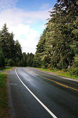 포토 JPG 해외이미지 나무 구름 도로 선 여행 교통시설 모션 자동차 자연 하늘 표면 휴가 산 풍경 사람없음 야외 여행객 미국 운전 시골 고속도로 황무지 운전사 보행로 숲 아스팔트 북쪽 알래스카 루트 방법 가문비나무 수평선 해외202004 해외포토 자연요소 식물 직업 길 육상교통 교통 북아메리카 사람 방향 시설 생태계 파일형식 이미지허브
