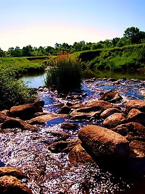 포토 JPG 해외이미지 공원 지구 백그라운드 자연 풍경 사람없음 야외 물 강 햇빛 평화 환경 침묵 고요 폭포 젖음 가을 신선 황무지 급류 보호 내추럴 감탄 잔물결 해외202004 해외포토 자연요소 계절 공공시설 물결 컨셉 태양 소리 생태계 파일형식 이미지허브