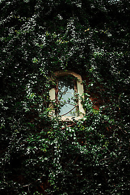 포토 JPG 해외이미지 전통 디자인 외관 벽 백그라운드 패턴 건축양식 창문 유리 날씨 추상 주택 프레임 미술 사람없음 야외 내부 건물 목재 장식 초록색 갈색 수확 골동품 흰색 시골 도시 오픈 묘사 질감 복고 타운 셔터 내추럴 고립 옛날 스타일 해외202004 해외포토 나무 건축물 건축 컬러 무늬 농업 재료 재질 문화예술 파일형식 이미지허브