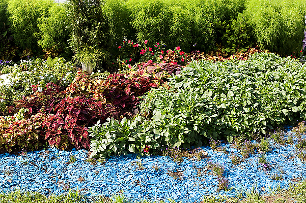포토 JPG 해외이미지 식물 공원 꽃 길 잎 자연 풍경 잔디 사람없음 장식 초록색 여름 정원 벚꽃 해외202004 해외포토 계절 공공시설 컬러 생태계 파일형식 이미지허브
