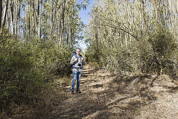 포토 JPG 해외이미지 나무 식물 1 라이프스타일 응시 계절 공원 노년 남자 스포츠 여행 배낭 자국 자연 수염 건강 한명 서기 풍경 성인 취미 야외 목재 여름 여행객 카메라 산책 하이킹 시골 숲 은퇴 사진사 장면 루트 옛날 오리엔테이션 하이커 해외202004 해외포토 시선 공공시설 가방 재료 모션 레저 휴식 사람 생활 전자제품 작가 생태계 파일형식 이미지허브