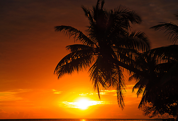 포토 JPG 해외이미지 나무 구름 실루엣 모래 파도 바다 섬 여행 잎 오렌지 자연 하늘 휴가 열대 따뜻함 손바닥 그림자 사람없음 빨간색 초록색 물 여름 파란색 태양 일출 맑음 일몰 꿈 야간 암초 코코넛 몰디브 아열대 해외202004 해외포토 자연요소 식물 손 계절 아시아 컬러 과일 날씨 촬영기법 노을 생태계 파일형식 이미지허브