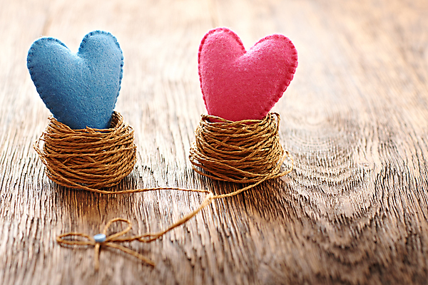 포토 JPG 해외이미지 커플 행복 분홍색 결혼 백그라운드 컨셉 가족 결혼식 휴가 발렌타인데이 선물 사랑 사람없음 목재 장식 파란색 수확 하트 인사 신용카드 둥지 깃털 2월 강렬 특별함 펠트 핸드메이드 해외202004 해외포토 모양 나무 감정 컬러 농업 재료 관계 데이이벤트 이벤트 금융 예절 날짜 파일형식 천_직물 이미지허브