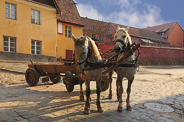 포토 JPG 해외이미지 동물 전통 길 여행 거리 주택 사람없음 건물 마을 카트 조약돌 시골 시간 바퀴 성 중세 역사 오솔길 가난 과거 갈기 타운 루마니아 구식 트란실바니아 해외202004 해외포토 건축물 유럽 컨셉 돌_바위 도시 파일형식 이미지허브