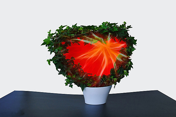 포토 JPG 해외이미지 식물 별 선 잎 불교 자연 추상 발렌타인데이 매달리기 사랑 사람없음 장식 초록색 봄 광선 하트 그룹 폭발 폭발물 배열 심볼 유기농 아이비 섬유 상록수 내추럴 고립 스타일 많음 어머니의날 효과 정확 해외202004 해외포토 자연요소 모양 웰빙 계절 기념일 감정 종교 무기 컬러 컨셉 무늬 모션 데이이벤트 직물 생태계 미국문화 파일형식 이미지허브