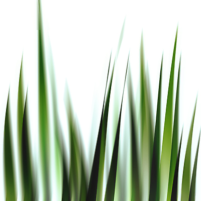 포토 JPG 해외이미지 식물 공원 백그라운드 잎 밭 농업 골프 자연 놀이 잔디 사람없음 야외 초록색 여름 농장 환경 정원 활발 성장 신선 보호 땅 원예 질감 심플 지역 내추럴 땅바닥 효과 해외202004 해외포토 계절 공공시설 산업 컬러 컨셉 바닥 취미 구기 생태계 파일형식 이미지허브