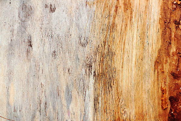 포토 JPG 해외이미지 템플릿 디자인 배너 외관 선 벽 가구 백그라운드 패턴 추상 바닥 주택 프레임 사람없음 내부 목재 세로 갈색 노란색 웹 어둠 수확 시골 소나무 그리기 널 큼 갑판 책상 창고 질감 복고 목공예 잡동사니 비네팅 구식 그런지 수목 옛날 합판 파케트 해외202004 해외포토 나무 컬러 생활용품 무늬 농업 인터넷 배_교통 재료 모션 촬영기법 건물 크기 공예 파일형식 이미지허브