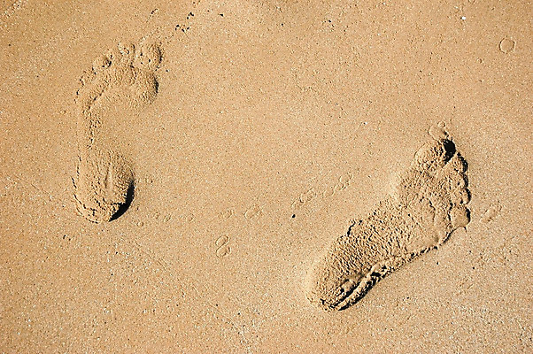 포토 JPG 해외이미지 모래 바다 여행 오렌지 자연 사람없음 야외 발자국 해외202004 해외포토 과일 자국 생태계 파일형식 이미지허브