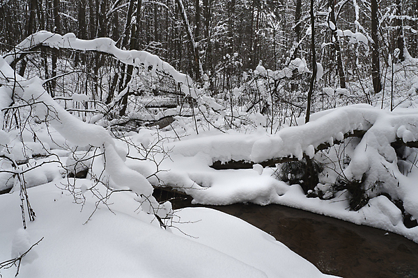 포토 JPG 해외이미지 나무 계절 여행 백그라운드 크리스마스 겨울 자연 하늘 날씨 산 풍경 사람없음 야외 목재 파란색 환경 냉동 얼음 추위 흰색 나뭇가지 신선 소나무 숲 서리 전나무 내추럴 폭설 눈내림 가문비나무 해외202004 해외포토 자연요소 식물 기념일 컬러 재료 눈_날씨 자연재해 생태계 파일형식 이미지허브