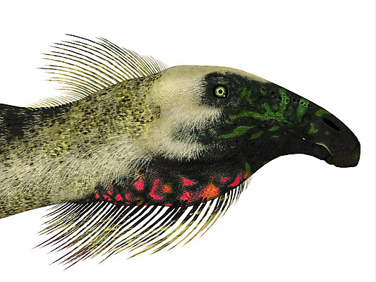 포토 JPG 해외이미지 동물 척추동물 파충류 초식동물 생물 종류 사람없음 머리 3D 중국 공룡 그림 도마뱀 고생물 멸종 선사시대 원시시대 발톱 초식 해외202004 해외포토 아시아 발 신체부위 역사 디지털합성 파일형식 이미지허브