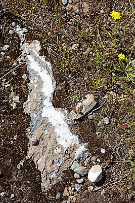 포토 JPG 해외이미지 식물 디자인 벽 백그라운드 패턴 오렌지 자연 벽지 표면 추상 이끼 미술 사람없음 야외 장식 초록색 컬러풀 노란색 회색 젖음 성장 흰색 거친 숲 묘사 질감 내추럴 곰팡이 그런지 땅바닥 옛날 해외202004 해외포토 컬러 무늬 과일 문화예술 바닥 생태계 파일형식 이미지허브