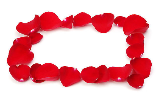 포토 JPG 해외이미지 기념일 꽃잎 꽃 꽃다발 백그라운드 잎 텍스트 프레임 발렌타인데이 사랑 사람없음 빨간색 벚꽃 흰색 향기 아로마 초대 고립 카피스페이스 해외202004 해외포토 식물 감정 컬러 데이이벤트 이벤트 공백 냄새 파일형식 이미지허브