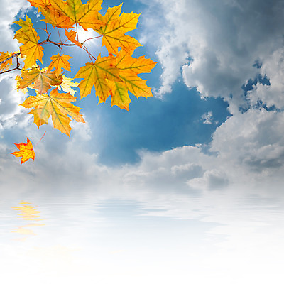 포토 JPG 해외이미지 나무 디자인 배너 계절 백그라운드 단풍 잎 패턴 오렌지 텍스트 학교 자연 벽지 표면 추상 프레임 건조 미술 사람없음 야외 장식 빨간색 컬러풀 태양 노란색 보라색 수확 가을 나뭇가지 신용카드 그룹 9월 11월 다발 질감 보케 10월 옛날 해외202004 해외포토 자연요소 식물 교육 컬러 무늬 농업 과일 문화예술 금융 날짜 생태계 파일형식 이미지허브