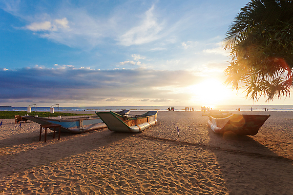 포토 JPG 해외이미지 전통 여자 남자 실루엣 아시아 모래 바다 여행 오렌지 자연 휴가 조명 사람 풍경 사람없음 여름 파란색 빛 컬러풀 야자수 햇빛 태양 평화 맑음 일몰 광선 어부 엽서 천국 빛망울 스리랑카 해외202004 해외포토 자연요소 나무 직업 계절 나라 컬러 컨셉 과일 날씨 촬영기법 노을 편지 생태계 파일형식 이미지허브