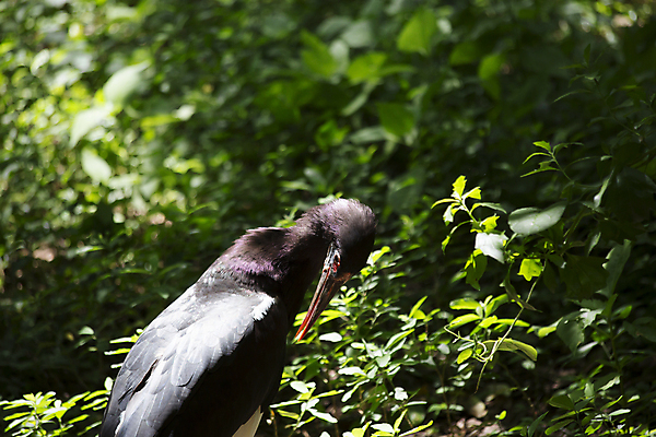 포토 JPG 해외이미지 사람없음 해외202004 해외포토 파일형식 이미지허브