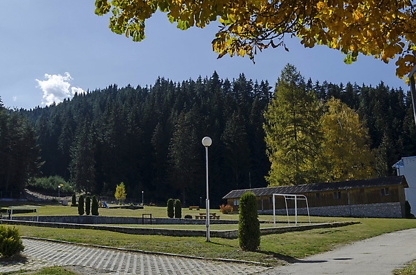 포토 JPG 해외이미지 나무 어린이 백그라운드 단풍 잎 놀이 휴식 새로움 사람없음 야외 초록색 파란색 컬러풀 노란색 평화 계단 금속 정원 산책 유치원 기쁨 장비 숲 플라스틱 그네 오르기 일반 내추럴 불가리아 웅장함 인기 해외202004 해외포토 식물 교육 감정 컬러 컨셉 모션 재질 사람 파일형식 남유럽 이미지허브