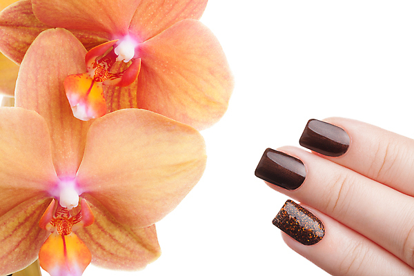 포토 JPG 해외이미지 손 손가락 미술 이벤트 사람없음 빛 갈색 유행 화장품 덮개 난초 손톱관리 손톱 위생관리 아크릴 스타일 해외202004 해외포토 식물 컬러 재질 문화예술 관리 신체부위 뷰티 뚜껑 네일아트 파일형식 이미지허브