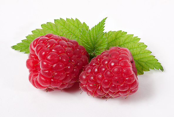 포토 JPG 해외이미지 열매 음식 백그라운드 잎 과일 자연 건강 사람없음 빨간색 초록색 여름 흰색 신선 확대 달콤 먹기 오브젝트 유기농 산딸기 흙더미 고립 숙성 채식주의자 해외202004 해외포토 식물 웰빙 계절 컬러 모션 흙 맛 생태계 채식 파일형식 더미 이미지허브