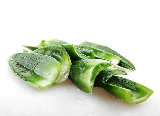 포토 JPG 해외이미지 식물 꽃 줄기 백그라운드 잎 자연 선인장 건강 사람없음 초록색 물 빛 약 우주 주스 화장품 활발 젖음 사막 성장 흰색 신선 가시 닫기 떨어짐 허브 피부 순수 묘사 피부관리 스파이크 고립 넘어짐 돌봄 알로에 억울 디테일 해외202004 해외포토 자연요소 감정 음료 컬러 컨셉 의학 모션 신체부위 뷰티 생태계 파일형식 이미지허브