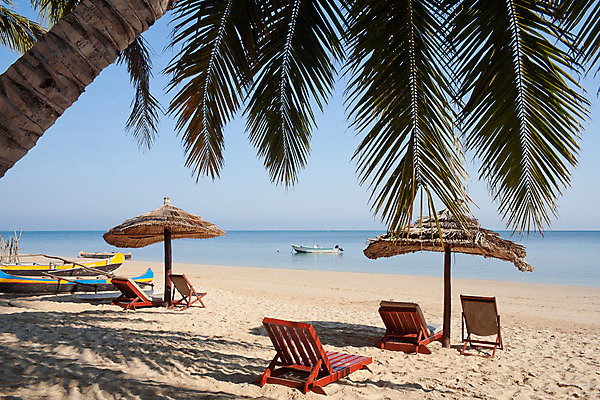 포토 JPG 해외이미지 나무 바다 여행 하늘 호텔 휴가 휴식 손바닥 풍경 사람없음 야외 물 여름 파란색 햇빛 태양 맑음 고요 꿈 나뭇가지 뜨거움 보트 탈출 양산 코코넛 석호 마다가스카르 아열대 이국적 파라다이스 수평선 해외202004 해외포토 자연요소 식물 손 계절 컬러 컨셉 배_교통 과일 숙소 날씨 파일형식 이미지허브