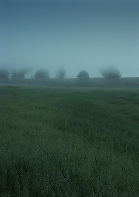포토 JPG 해외이미지 나무 자연 아침 날씨 풍경 사람없음 컬러풀 햇빛 어둠 추위 안개 가을 농촌 신비 카피스페이스 해외202004 해외포토 주간 식물 계절 컬러 컨셉 태양 공백 시골 생태계 파일형식 이미지허브