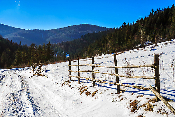 포토 JPG 해외이미지 나무 계절 도로 길 백그라운드 겨울 자연 하늘 아침 날씨 산 풍경 사람없음 야외 목재 초록색 파란색 울타리 추위 흰색 시골 소나무 숲 언덕 서리 상록수 전나무 1월 2월 방법 절정 눈내림 해외202004 해외포토 주간 식물 컬러 재료 교통시설 눈_날씨 담장 날짜 생태계 파일형식 이미지허브