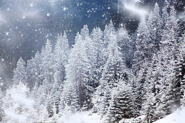 포토 JPG 해외이미지 주간 나무 겨울 자연 하늘 산 사람없음 야외 루마니아 눈보라 겨울풍경 해외202004 해외포토 자연요소 식물 계절 유럽 눈_날씨 풍경 생태계 파일형식 이미지허브