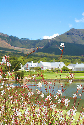 포토 JPG 해외이미지 나무 식물 공원 꽃 호수 꽃무늬 밭 골프 아프리카 자연 하늘 산 주택 따뜻함 풍경 사람없음 야외 초록색 물 여름 파란색 강 컬러풀 평화 환경 정원 맑음 봄 벚꽃 흰색 연못 신선 개화 강의 언덕 원예 남쪽 내추럴 해외202004 해외포토 자연요소 계절 공공시설 나라 컬러 컨셉 무늬 농업 날씨 취미 건물 구기 방향 생태계 파일형식 이미지허브