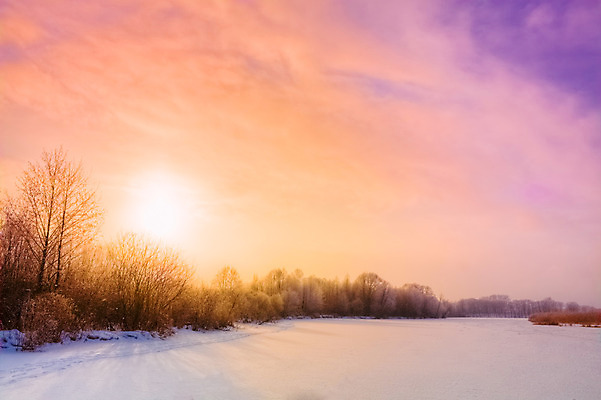 포토 JPG 해외이미지 나무 구름 계절 겨울 자연 하늘 아침 바람 날씨 그림자 풍경 사람없음 야외 파란색 빛 햇빛 태양 노란색 검은색 어둠 추위 흰색 뜨거움 저녁 숲 서리 장면 땅바닥 해외202004 해외포토 주간 자연요소 식물 컬러 바닥 야간 생태계 파일형식 이미지허브
