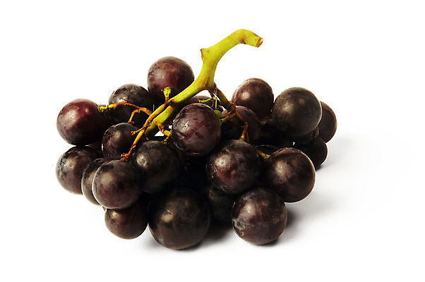 포토 JPG 해외이미지 음식 백그라운드 농업 채소 과일 포도 건강 요리 사람없음 목재 농작물 상자 농장 정원 수확 흰색 신선 먹기 유기농 원예 생물학 성분 자두 내추럴 식용 해외202004 해외포토 나무 웰빙 교육 산업 컬러 재료 모션 취미 파일형식 이미지허브