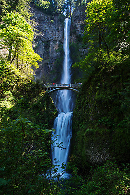 포토 JPG 해외이미지 나무 여행 자연 풍경 사람없음 야외 물 강 폭포 하이킹 개울 숲 통나무 해외202004 해외포토 자연요소 식물 레저 생태계 파일형식 이미지허브