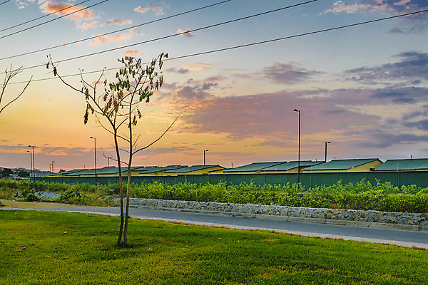 포토 JPG 해외이미지 나무 외관 도로 교실 자연 아침 거리 아파트 주택 풍경 사람없음 건물 태양 미국 일몰 새벽 중앙 야간 커뮤니티 에콰도르 연립주택 이웃 남쪽 교외 해외202004 해외포토 주간 자연요소 식물 건축물 교육 길 북아메리카 학교 교통시설 노을 남아메리카 방향 생태계 파일형식 이미지허브
