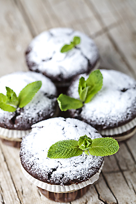 포토 JPG 해외이미지 디저트 사람없음 머핀 슈가파우더 애플민트 초콜릿머핀 해외202004 해외포토 음식 빵 민트 파일형식 이미지허브