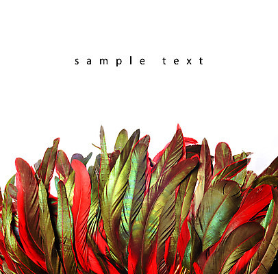 포토 JPG 해외이미지 동물 디자인 남자 야생동물 백그라운드 패턴 자연 조류 미술 사람없음 장식 초록색 빛 컬러풀 노란색 치킨 흰색 우아함 공작 깃털 오브젝트 질감 꼬리 솜털 수탉 고립 이국적 해외202004 해외포토 컬러 컨셉 무늬 문화예술 사람 닭 수컷 생태계 닭고기요리 파일형식 이미지허브