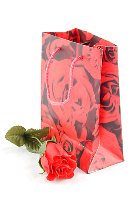 포토 JPG 해외이미지 꽃 잎 크리스마스 가방 자연 휴가 발렌타인데이 선물 사람없음 빨간색 쇼핑 장미 생일 인쇄 해외202004 해외포토 식물 잡화 기념일 컬러 데이이벤트 생태계 파일형식 이미지허브