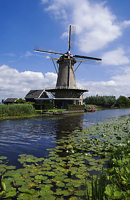 포토 JPG 해외이미지 식물 구름 주택 갈대 사람없음 건물 강 반사 마을 우정 풍차 시골 헛간 해외202004 해외포토 자연요소 건축물 친구 저장고 파일형식 이미지허브