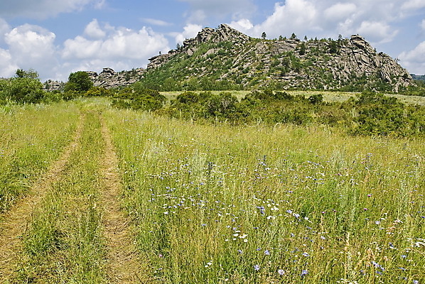 포토 JPG 해외이미지 공원 야생동물 자연 산 풍경 사람없음 야외 초록색 여름 평화 맑음 시골 소나무 언덕 만족 암초 내추럴 해외202004 해외포토 나무 동물 계절 공공시설 감정 컬러 컨셉 날씨 생태계 파일형식 이미지허브