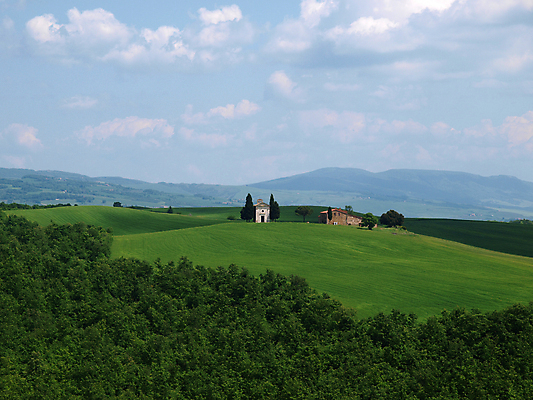 포토 JPG 해외이미지 나무 유럽 밭 농업 자연 산 풍경 사람없음 초록색 여름 농가 평화 환경 계곡 고요 봄 이탈리아 성장 시골 언덕 그림 올리브 포도밭 땅바닥 시에나 토스카나 수평선 해외202004 해외포토 식물 계절 열매 나라 산업 컬러 컨셉 바닥 농장 생태계 파일형식 이미지허브