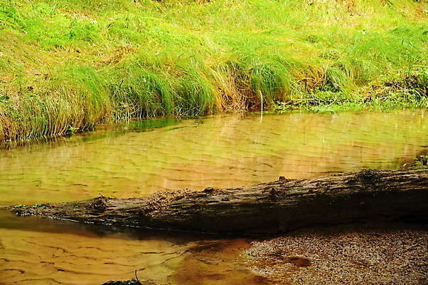 포토 JPG 해외이미지 나무 공원 여행 백그라운드 자연 유리 벽지 풍경 사람없음 야외 초록색 물 여름 강 컬러풀 여행객 평화 환경 힘 봄 폭포 젖음 에너지 신선 개울 소프트포커스 숲 열대우림 스위스 체코 내추럴 아마존 전국 해외202004 해외포토 자연요소 식물 계절 공공시설 유럽 컬러 컨셉 재질 촬영기법 사람 생태계 파일형식 이미지허브