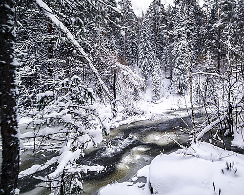 포토 JPG 해외이미지 나무 계절 공원 도로 길 백그라운드 크리스마스 겨울 자연 하늘 날씨 풍경 사람없음 야외 물 파란색 강 환경 냉동 얼음 추위 흰색 나뭇가지 숲 시원함 서리 내추럴 눈내림 해외202004 해외포토 자연요소 식물 공공시설 기념일 컬러 교통시설 눈_날씨 생태계 파일형식 이미지허브
