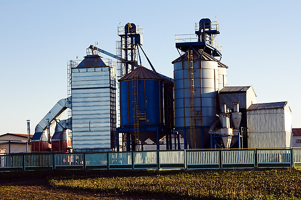 포토 JPG 해외이미지 나무 산업 종이 음식 십자가 농업 비즈니스 부분 공장 자연 사람없음 건물 목재 농장 농경지 쌓기 농사 검은색 가축 소고기 우유 수확 시골 업무 소 볏짚 제조 군중 농부 상품 주식 밀 먹기 황소 내추럴 외양간 벌목 수목 수유 해외202004 해외포토 식물 동물 직업 건축물 컬러 재료 포유류 공업 모션 유제품 곡류 육류 사람 금융 작업 짚 생태계 파일형식 이미지허브